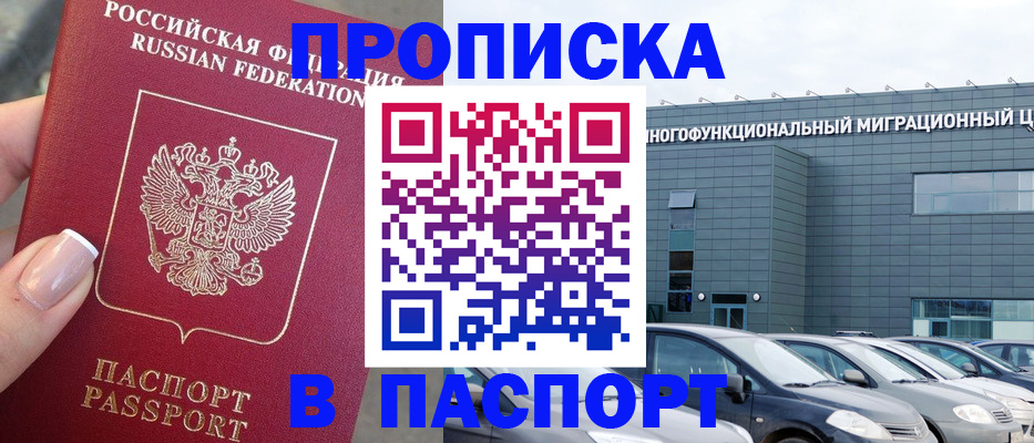 прописка для школы в Ленинградской области